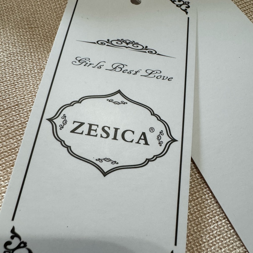 ZESICA - Picture 9 of 9